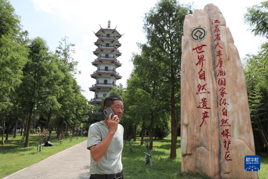 EDF一定发手机网站